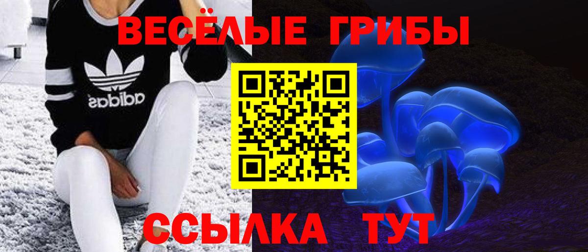 Галлюциногенные грибы ЛСД Чернушка